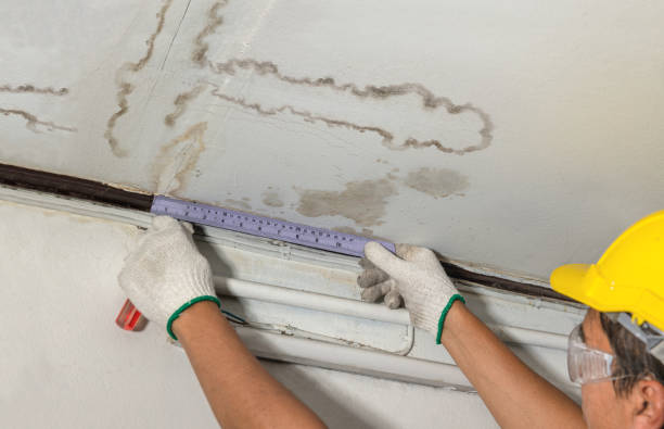 Reliable Mold Remediation contractor in Wheeler, MI by Water Damage Irwin